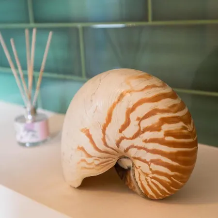 Casa Chintoan - Adult Only