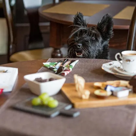 Casa Chintoan - Adult Only Bed and Breakfast 2*