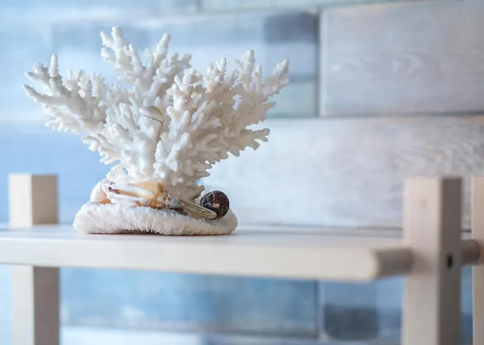 Bed & Breakfast Casa Chintoan - Adult Only Constanta