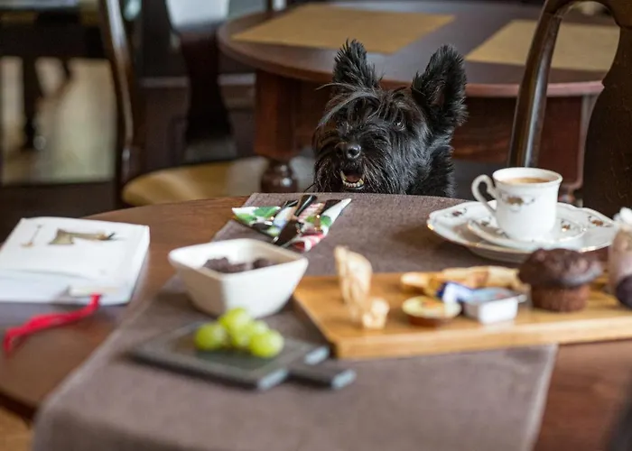 Casa Chintoan - Adult Only Bed & Breakfast 2*