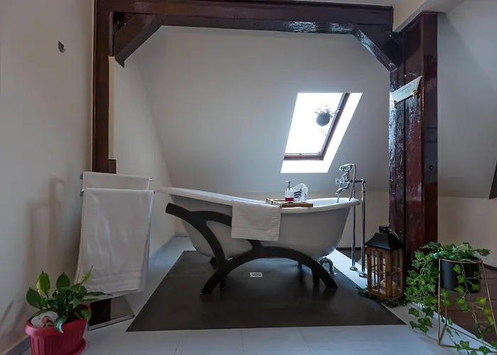 Casa Chintoan - Adult Only