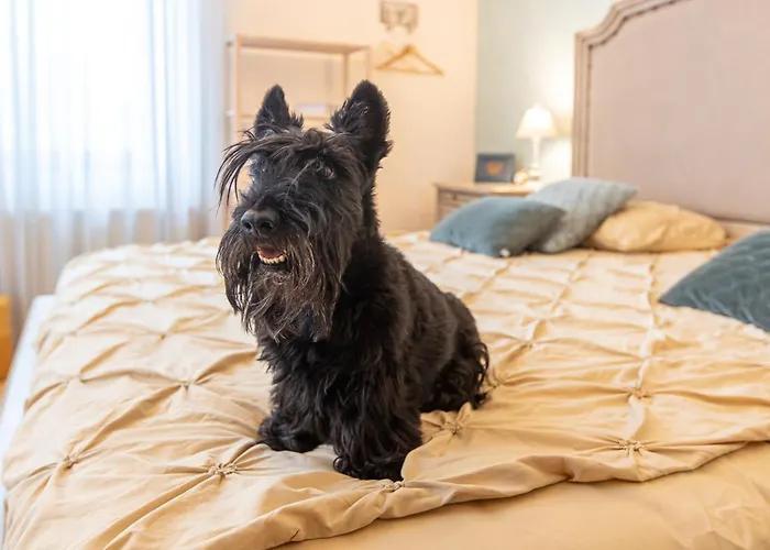 Casa Chintoan - Adult Only 2* Constanta